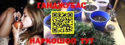PSILOCYBIN Гусев